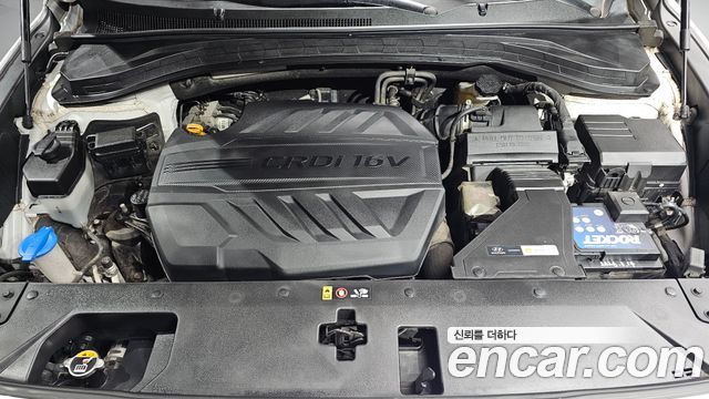 Hyundai Santa Fe (TM) Diesel 2.2 2WD Exclusive 2020 — фото 6