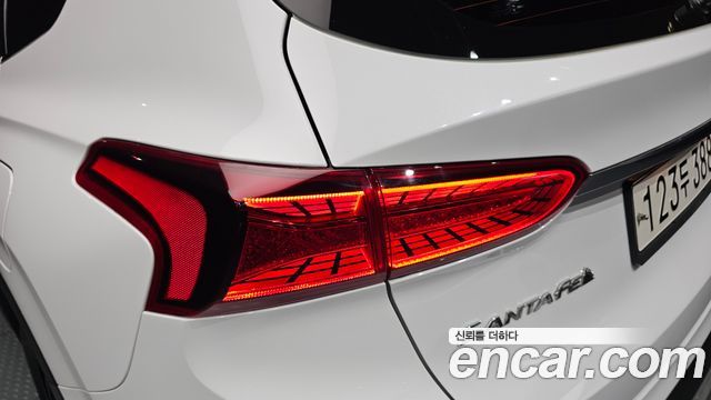 Hyundai Santa Fe (TM) Diesel 2.2 2WD Exclusive 2020 — фото 23