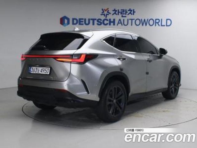 Lexus NX350h (II) Premium 2025 — фото 3