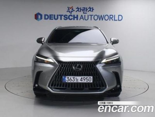 Lexus NX350h (II) Premium 2025 — фото 4