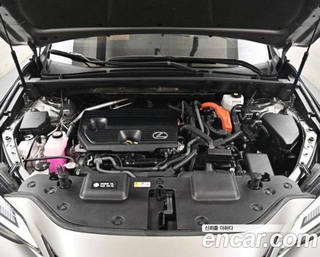 Lexus NX350h (II) Premium 2025 — фото 6
