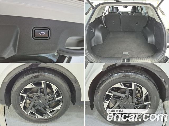 Kia Sportage (V) Gasoline 1.6 Turbo 2WD Signature 2024 — фото 23
