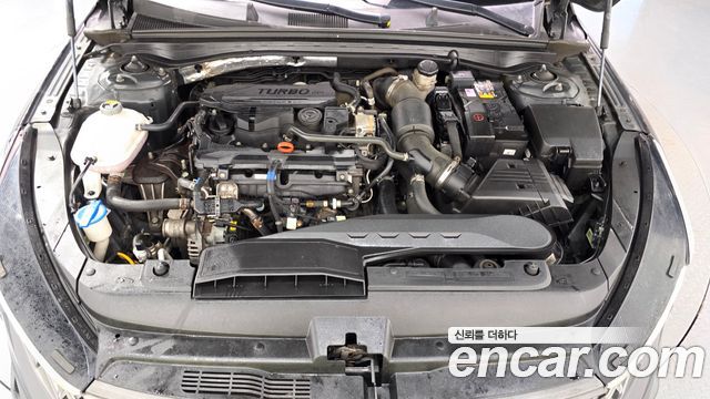 Kia K5 (III) 1.6 Turbo Noblesse 2020 — фото 6
