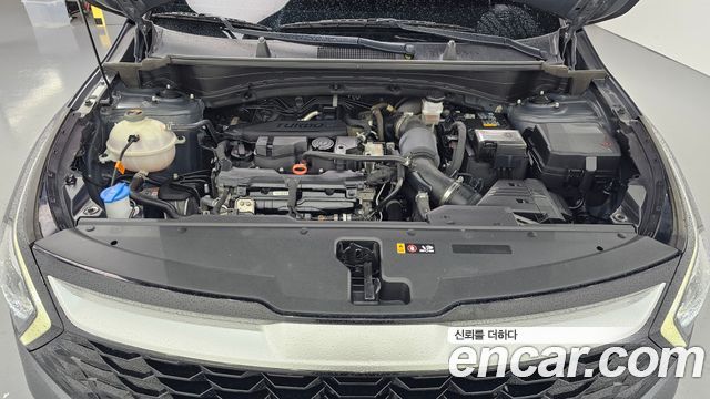 Kia Sportage (V) Gasoline 1.6 Turbo 2WD Prestige 2023 — фото 6