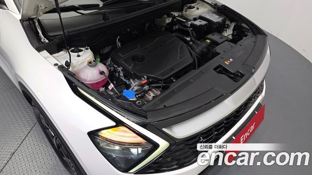 Kia Sportage (V) LPG 2.0 2WD Prestige 2024 — фото 6