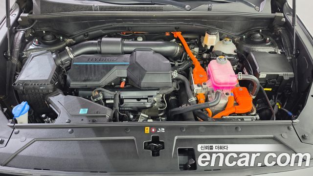 Hyundai Santa Fe HEV 1.6 2WD Exclusive 2023 — фото 6