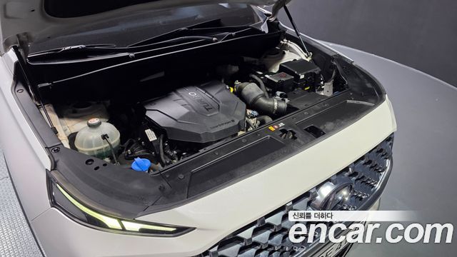 Hyundai Santa Fe Diesel 2.2 2WD Premium Choice 2021 — фото 6