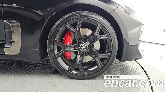Kia Stinger 2.0 Turbo AWD Platinum 2020 — фото 27