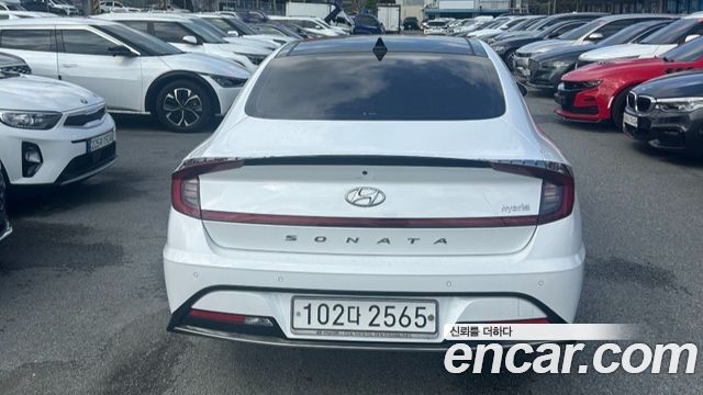 Hyundai Sonata Hybrid (DN8) Inspiration 2020 — фото 4
