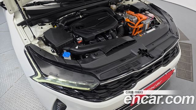 Kia K5 Hybrid (III) Trendy 2023 — фото 6