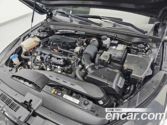 Kia K5 (III) 1.6 Turbo Noblesse 2024 — фото 5