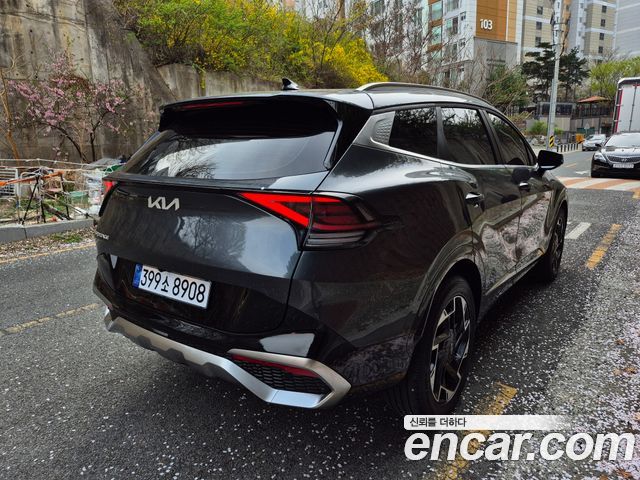 Kia Sportage (V) Gasoline 1.6 Turbo 2WD Nobleless 2024 — фото 6