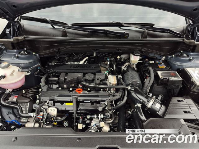 Kia Sportage (V) Gasoline 1.6 Turbo 2WD Nobleless 2024 — фото 24