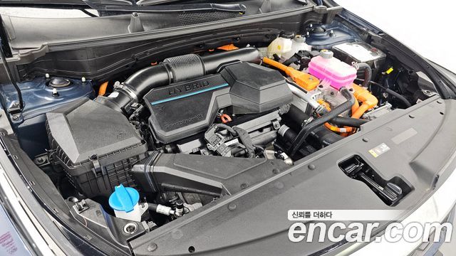 Kia Sportage Hybrid (V) Nobleless 2WD 2024 — фото 6