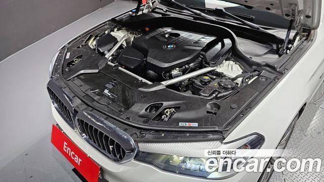 BMW 5 Series (G30) 520i Luxury 2018 — фото 6