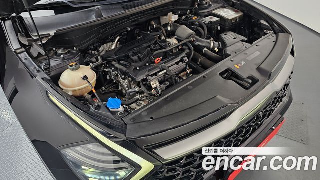 Kia Sportage (V) Gasoline 1.6 Turbo 2WD Signature Gravity 2022 — фото 6