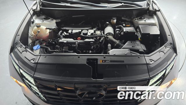 Hyundai Tucson (NX4) Gasoline 1.6 Turbo 2WD Modern 2023 — фото 6
