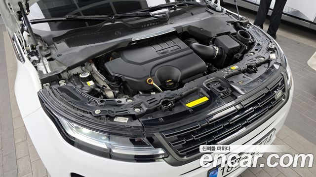 Land Rover Range Rover Evoque (II) P250 Dynamic SE 2024 — фото 6