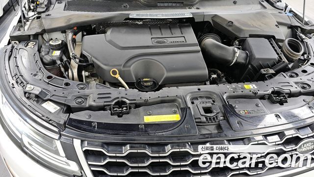 Land Rover Range Rover Evoque (II) P250 R-Dynamic SE 2021 — фото 6