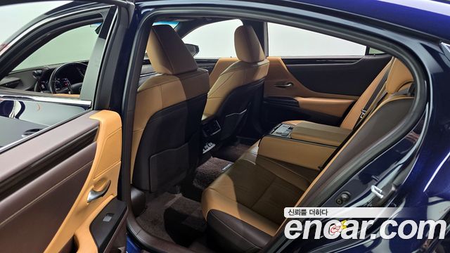 Lexus ES300h (VII) Luxury Plus 2019 — фото 11
