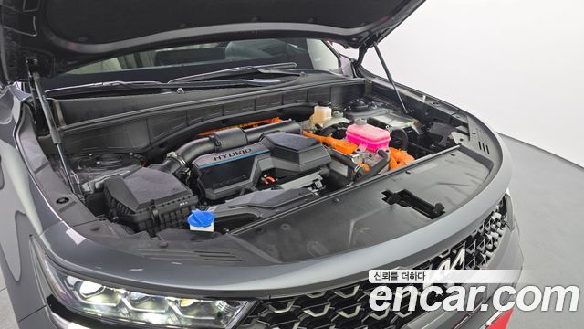 Kia Sorento (IV) HEV 1.6 2WD Gravity 2022 — фото 6