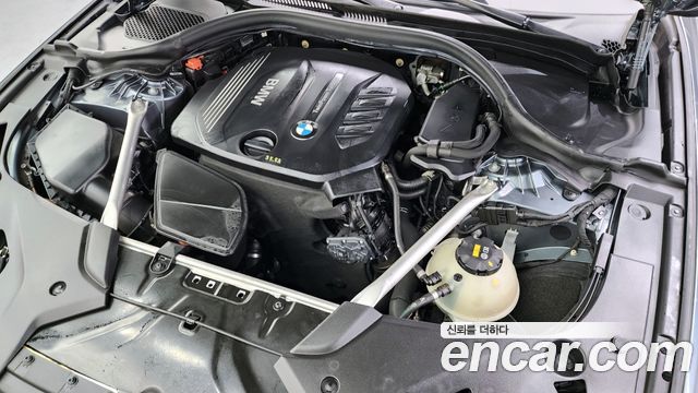 BMW 5 Series (G30) 520d xDrive Luxury Plus 2018 — фото 6