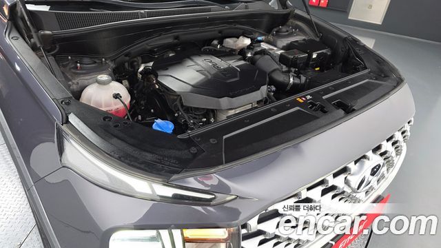 Hyundai Santa Fe Diesel 2.2 2WD Premium Choice 2021 — фото 6