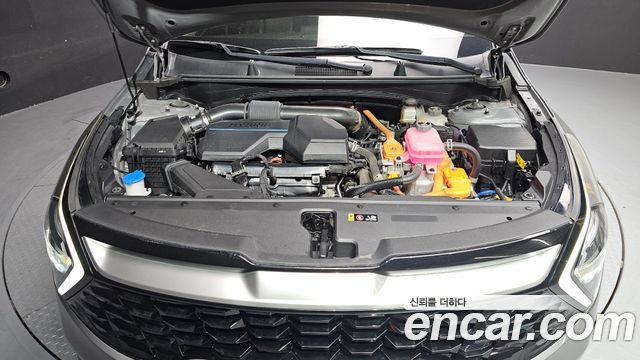 Kia Sportage Hybrid (V) Prestige 2023 — фото 6