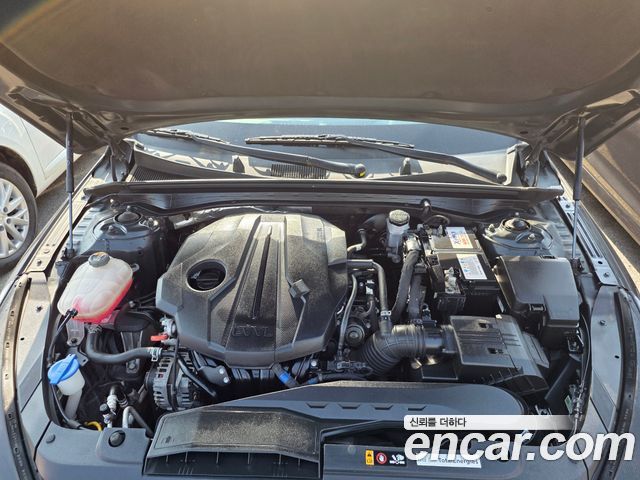 Kia K5 (III) 2.0 Trendy 2021 — фото 16