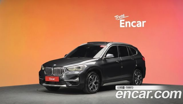 BMW X1 (F48) xDrive 20i Advantage