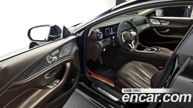 Mercedes-Benz CLS-Class (C257) CLS400d 4MATIC 2019 — фото 10