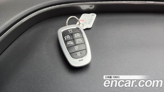 Hyundai Santa Fe Diesel 2.2 2WD Prestige Choice 2023 — фото 15