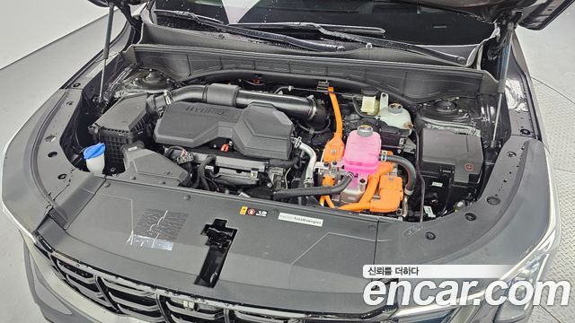 Kia Sorento (IV) HEV 1.6 2WD Signature X Line 2026 — фото 6