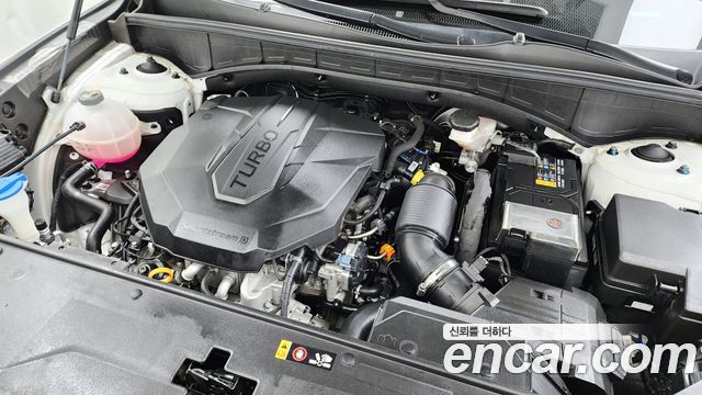 Kia Sorento (IV) Diesel 2.2 2WD Noblesse 2023 — фото 6