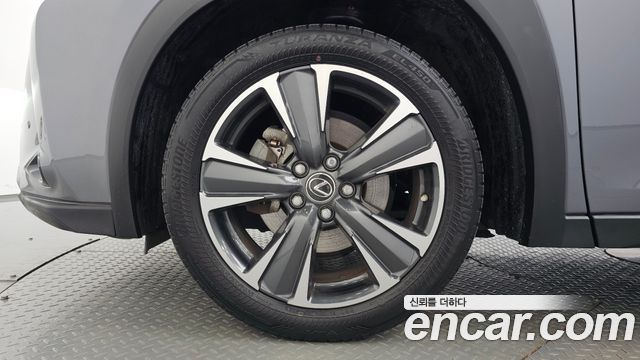 Lexus UX250h 2.0 AWD 2019 — фото 5