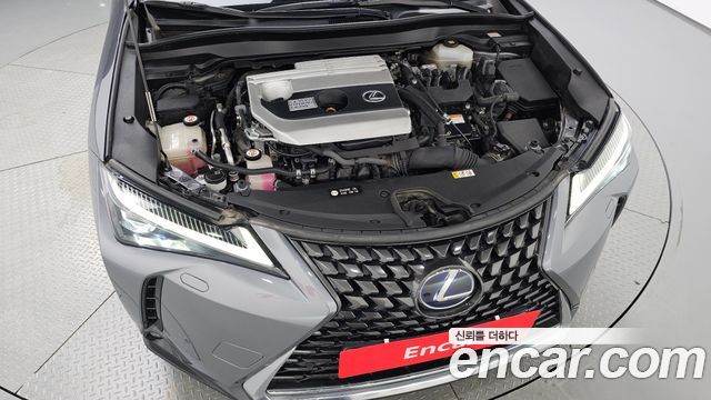 Lexus UX250h 2.0 AWD 2019 — фото 6