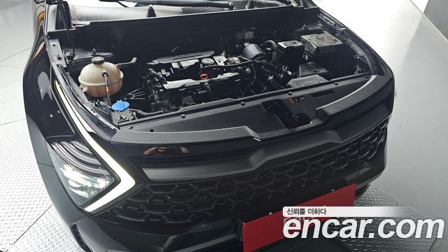 Kia Sportage (V) Gasoline 1.6 Turbo 2WD Signature Gravity 2024 — фото 6