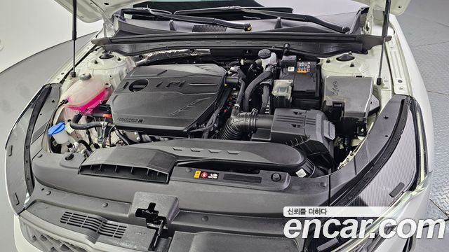 Kia K5 (III) 2.0 LPI(Renter car) Strandard 2023 — фото 6