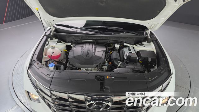 Hyundai Tucson (NX4) Diesel 2.0 2WD Modern 2023 — фото 6