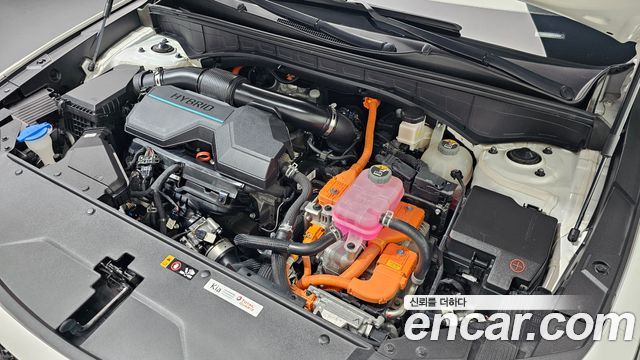 Kia Sorento (IV) HEV 1.6 2WD Noblesse 2023 — фото 6