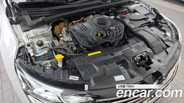 Renault Korea SM6 1.6 TCe RE 2019 — фото 6