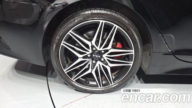 Kia Stinger Meister 2.5 Platinum 2023 — фото 5