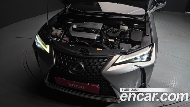 Lexus UX250h 2.0 AWD 2019 — фото 6