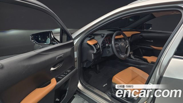 Lexus UX250h 2.0 AWD 2019 — фото 10