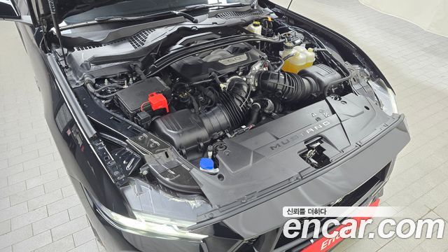 Ford Mustang (VII) 5.0 GT Premium Convertible 2024 — фото 6
