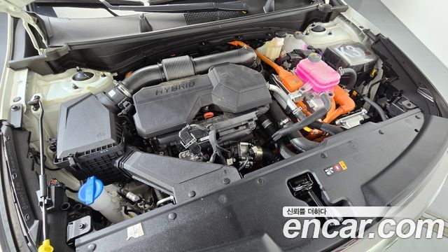 Kia Sportage Hybrid (V) HEV 1.6 2WD Signature X Line 2025 — фото 6
