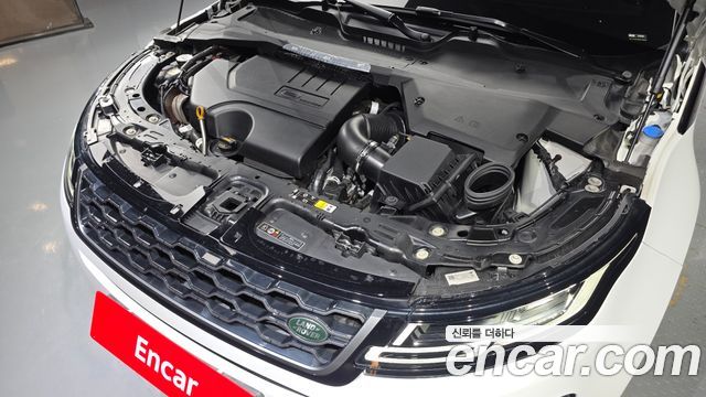 Land Rover Range Rover Evoque (II) P250 R-Dynamic SE 2022 — фото 6