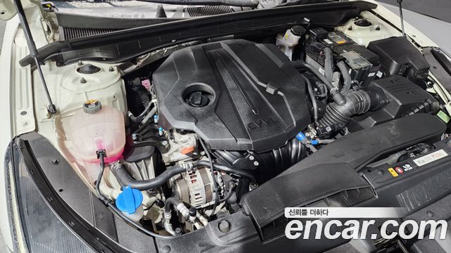Kia K5 (III) 2.0 Prestige 2022 — фото 6