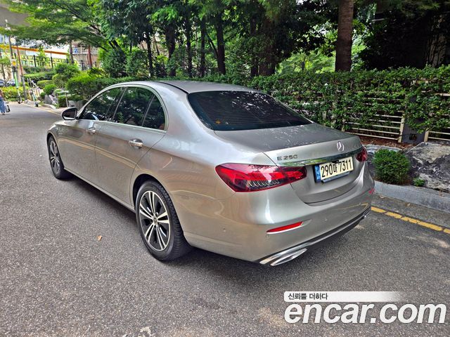 Mercedes-Benz E-Class (W213) E250 Avantgarde 2021 — фото 6