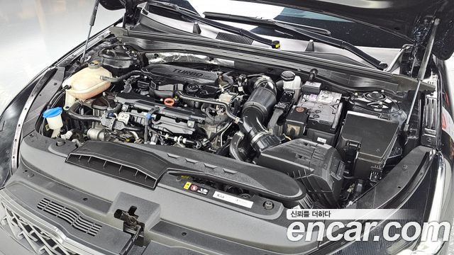 Kia K5 (III) 1.6 Turbo Signature 2022 — фото 6